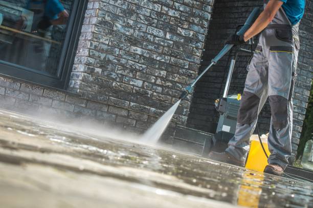 Pre-Holiday Cleaning in Miami Shores, FL