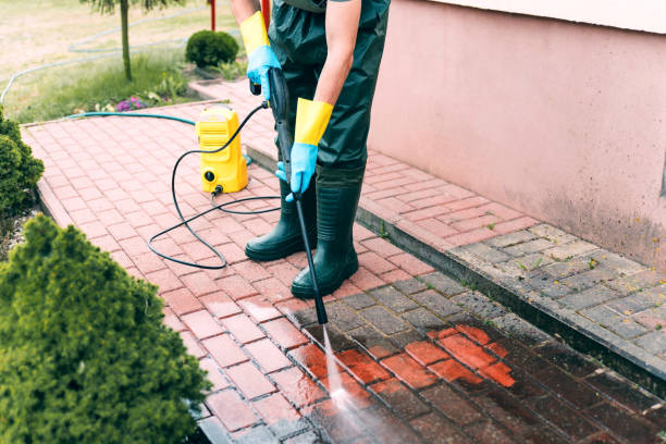 Professional Pressure Washing in Miami Shores, FL